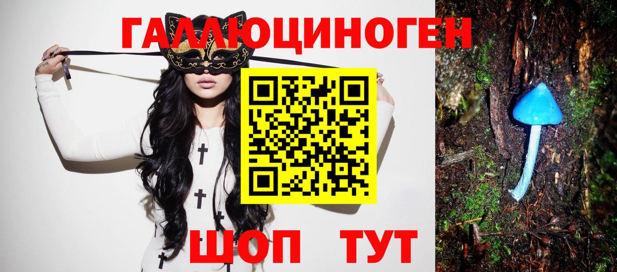 Галлюциногенные грибы Psilocybe Курск