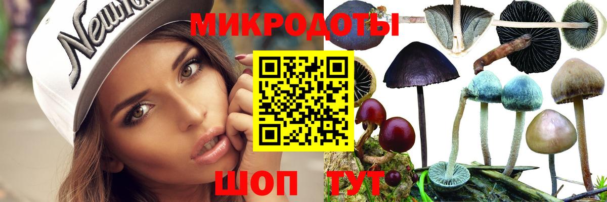 Курск  Псилоцибиновые грибы ЛСД  Вход с VPN  Галлюциногенные грибы MAGIC MUSHROOMS 