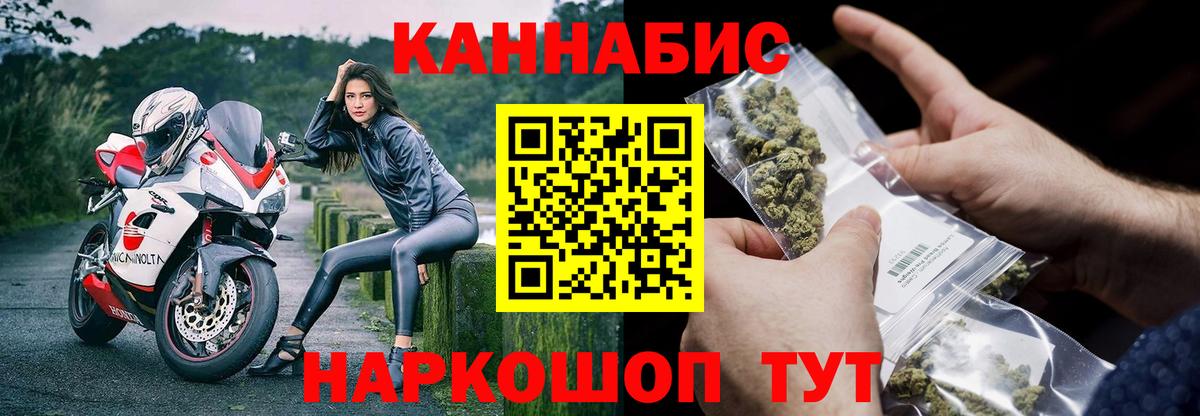 Курск  Конопля планчик  Вход с VPN  Канабис семена  Конопля White Widow 